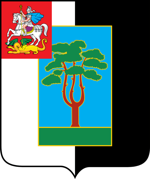 Администрация Черноголовки